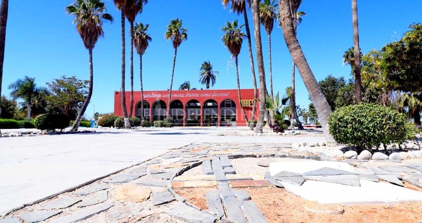 Sin título el 45 por ciento de egresados de la UABCS