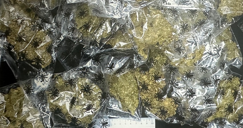 Por delito contra la salud y portación de arma de fuego FGR obtiene sentencia contra una persona en BCS