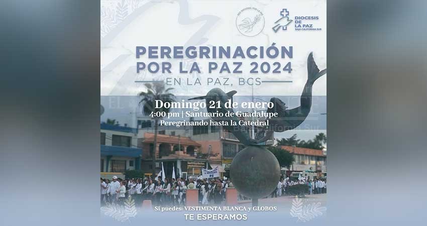 Retomará la iglesia católica la jornada por la paz