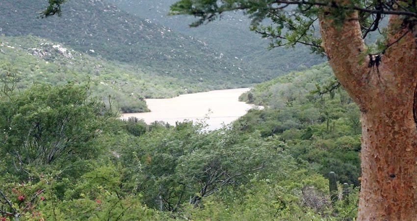 Hasta 2025 iniciará la construcción para la nueva presa en La Paz