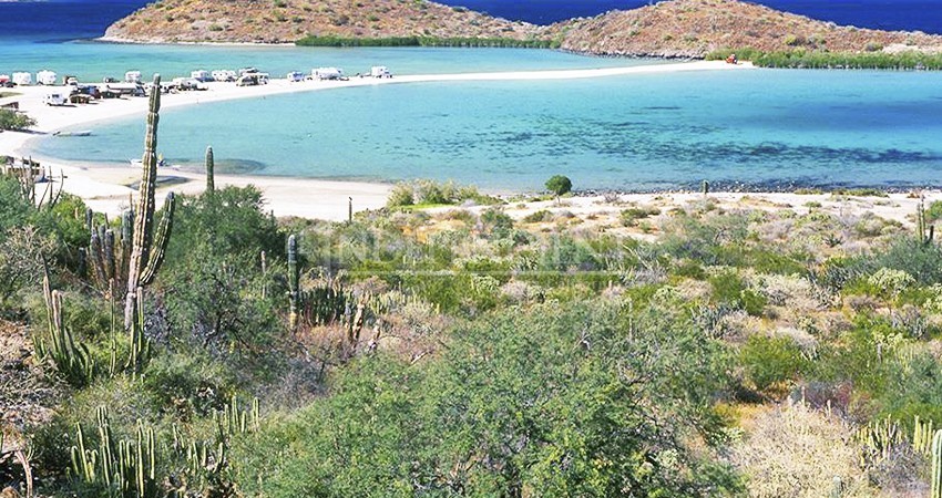 Busca SETUES "reinventar" la oferta turística de Baja California Sur