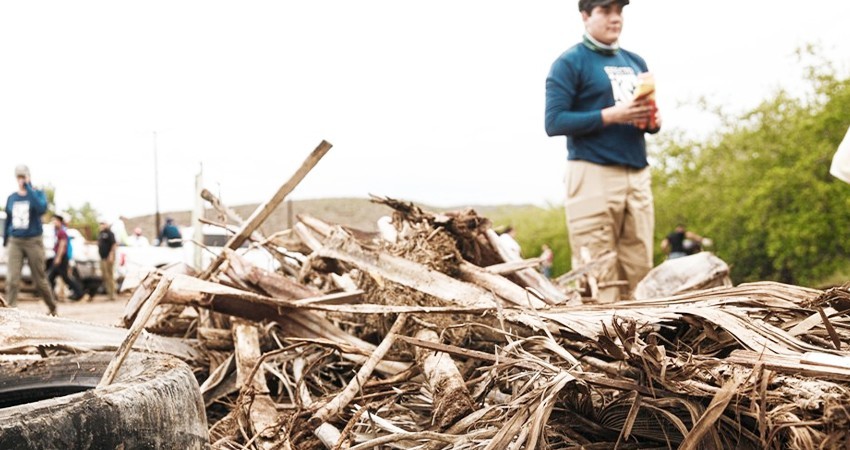 Realiza el Ayto de La Paz la primer macro limpieza del año en el Manglar Palmira