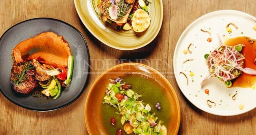 Innovación y calidad en gastronomía de Los Cabos propician al crecimiento de la industria: Roger Martín