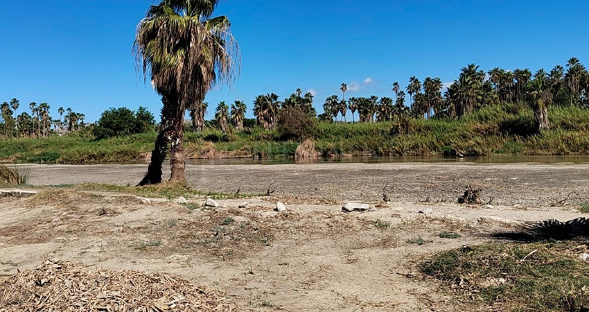 Estero de San José del Cabo contará con equipo "Autoprotección de Incendios"