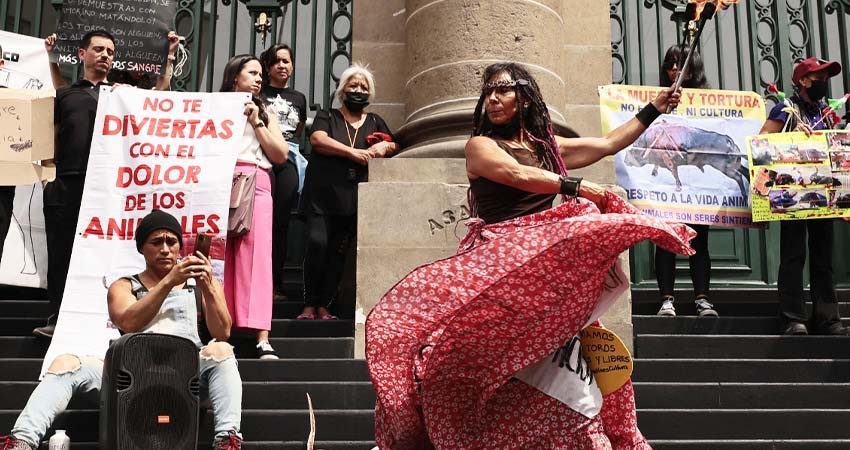 Activistas protestan para exigir que Congreso capitalino prohíba corridas de toros