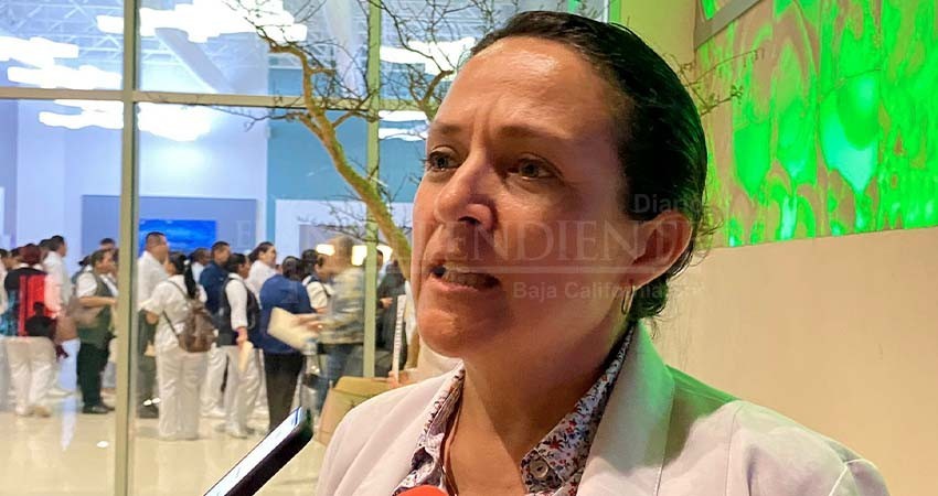 Extenderán el programa Wolbachia a Los Cabos; es el municipio con el mayor alto índice de casos de dengue