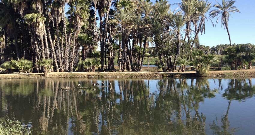 Busca Ayto de Los Cabos "medir" nivel de contaminación en el Estero de San José del Cabo