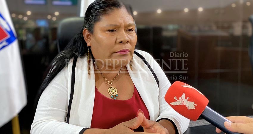Nosotros no elegimos a Rentería, fue el CEN de MORENA: Diputada