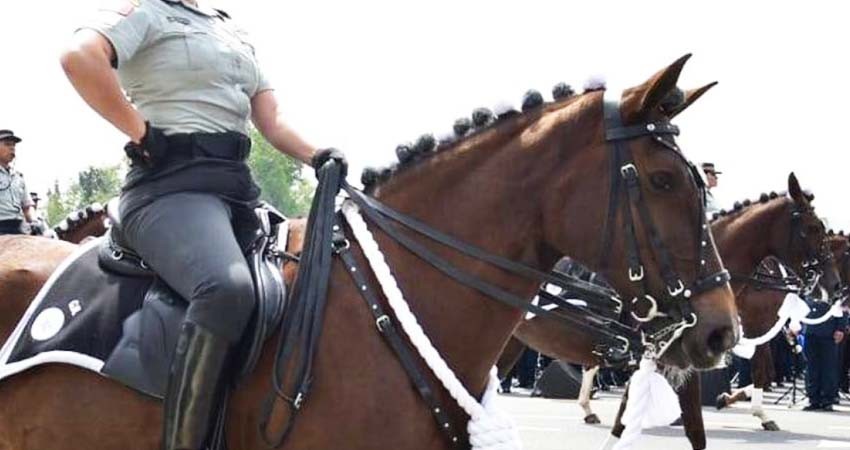 Crean Escuadrón Montado de la Guardia Nacional