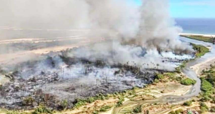 FGR inicia carpeta de investigación por delito ambiental derivado de incendio forestal en SJC