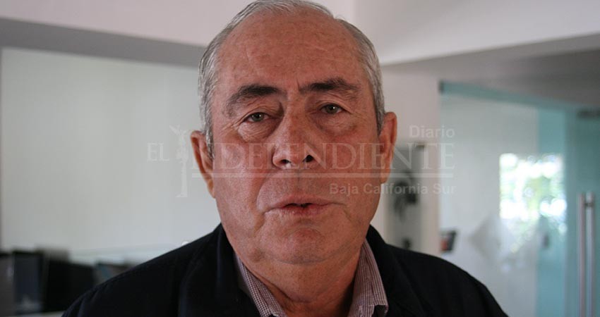 Cota Montaño renuncia a SEGALMEX; se va al equipo de Claudia Sheinbaum