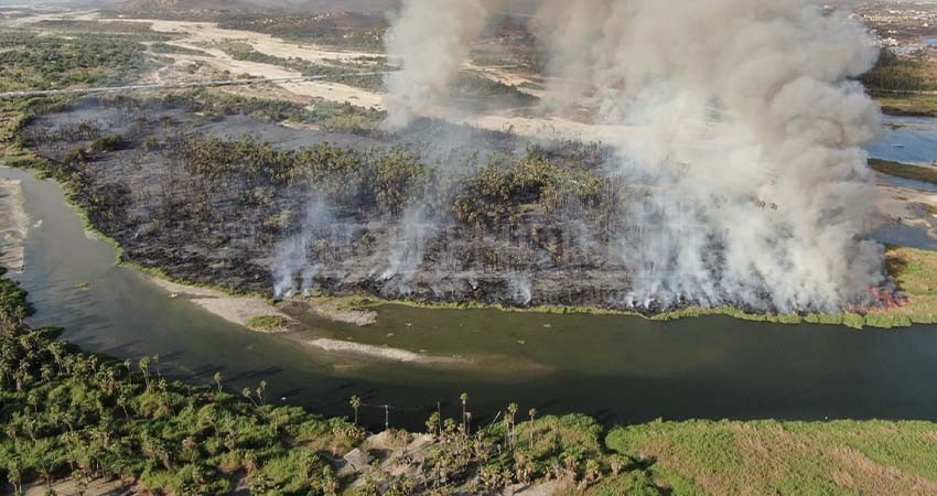 Organizaciones civiles y ciudadanía presentarán denuncia colectiva por daños al Estero de SJC
