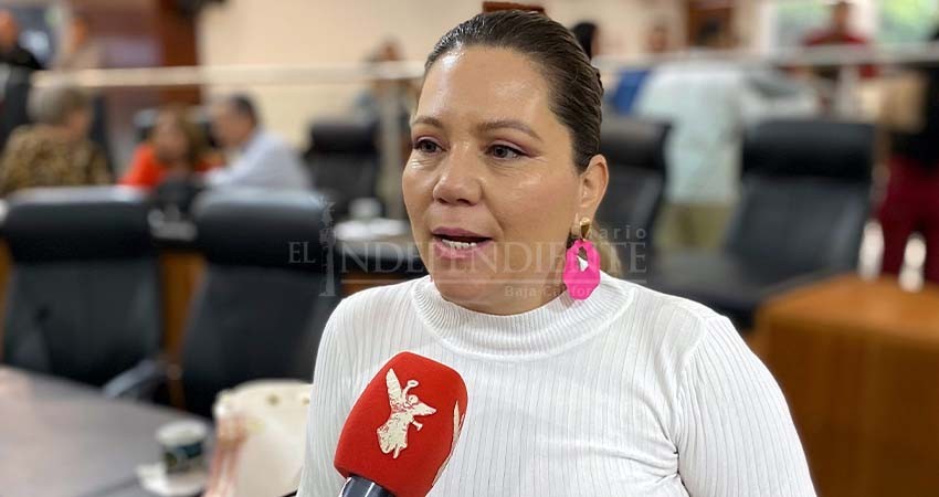 González Díaz: Fuerza x México mantendrá registro como partido tras la contienda electoral