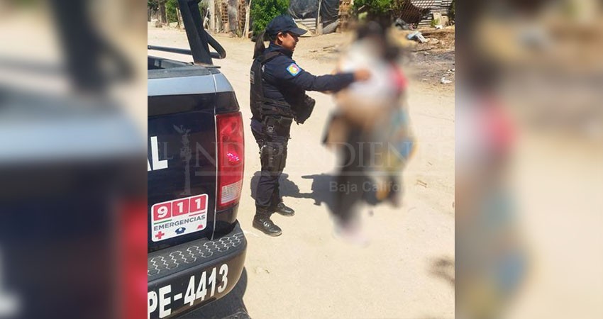 Atiende unidad de atención a víctimas de violencia reportes en línea