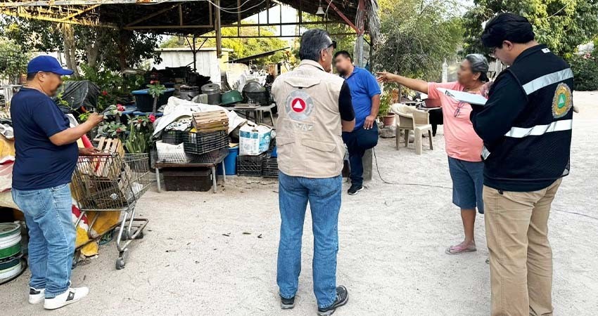 Desmiente Protección Civil Municipal ataque de abejas africanas en El Centenario