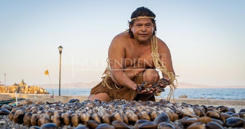 Todo listo para el festival de la almeja chocolata en Loreto