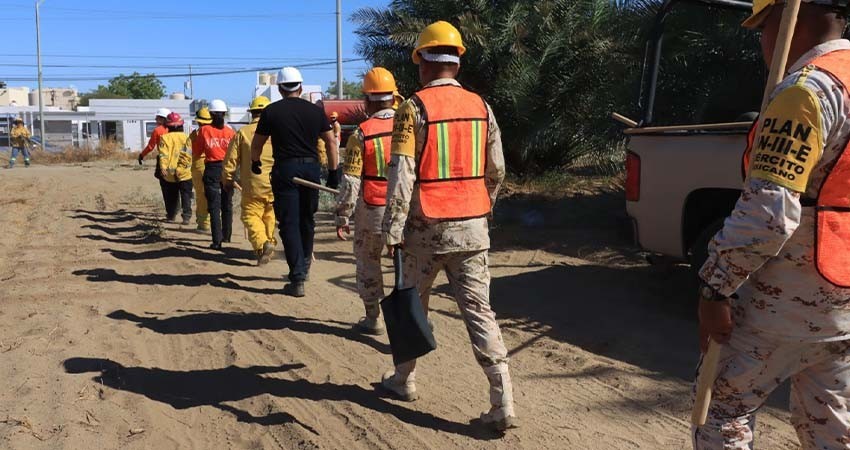 Llevan a cabo curso de capacitación y simulacro contra incendios forestales en la UABCS