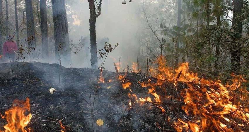 Conafor reporta 106 incendios forestales activos en 22 estados
