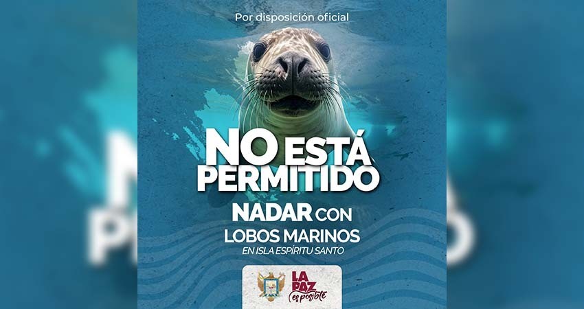 Invita turismo municipal a respetar restricciones en Isla Espíritu Santo