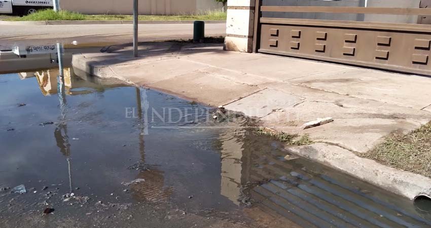 Pide COEPRIS que tras lluvias y corrida de aguas negras se suspenda la venta de alimentos en la vía pública