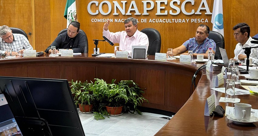 Trabaja gobierno y CONAPESCA en estrategias para la conservación de la tortuga amarilla