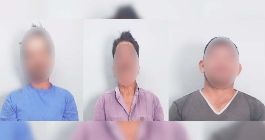 Robaron hoja de palma y fueron detenidos por delitos contra la biodiversidad