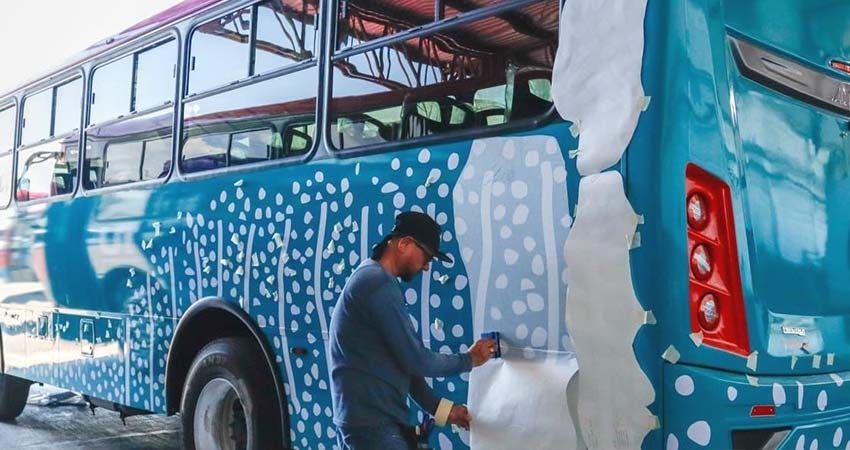 Supervisa Directora de Tránsito Municipal avances en las nuevas unidades del Tiburón Urbano