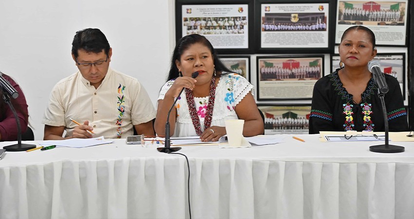 Instalan Comité de la Consulta de la Ley de Derechos de las Personas, Pueblos y las Comunidades Indígenas y Afromexicanas de BCS