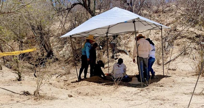 Confirman 6 osamentas en fosas clandestinas de Los Cabos