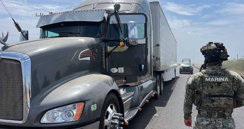 MARINA en coordinación con CONAPESCA retienen de forma precautoria de 6.318 toneladas de almeja generosa