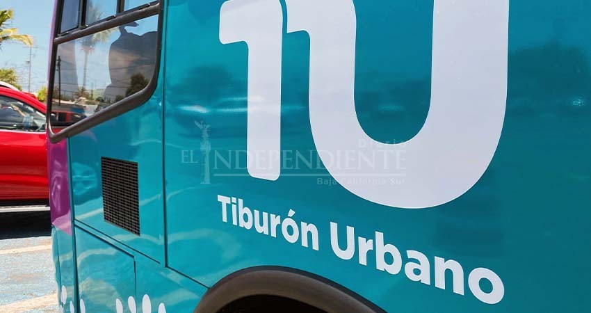 Desconoce Quiroga Romero el monto del seguro de vida para pasajeros de los “Tiburones Urbanos”