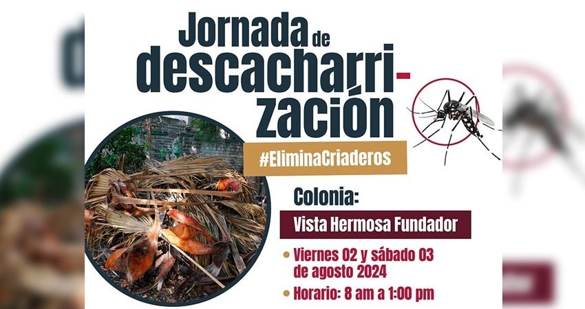 Realizará gobierno de BCS campaña de descacharrización en Los Cabo