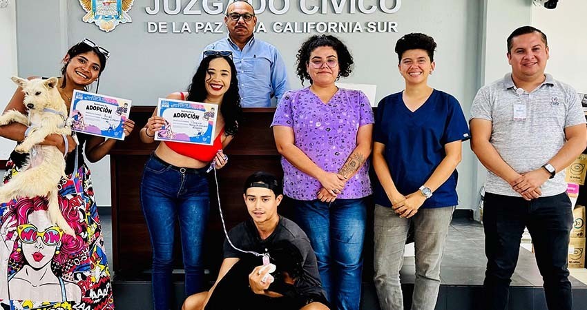 Dan a conocer los requisitos básicos para adoptar una mascota de compañía