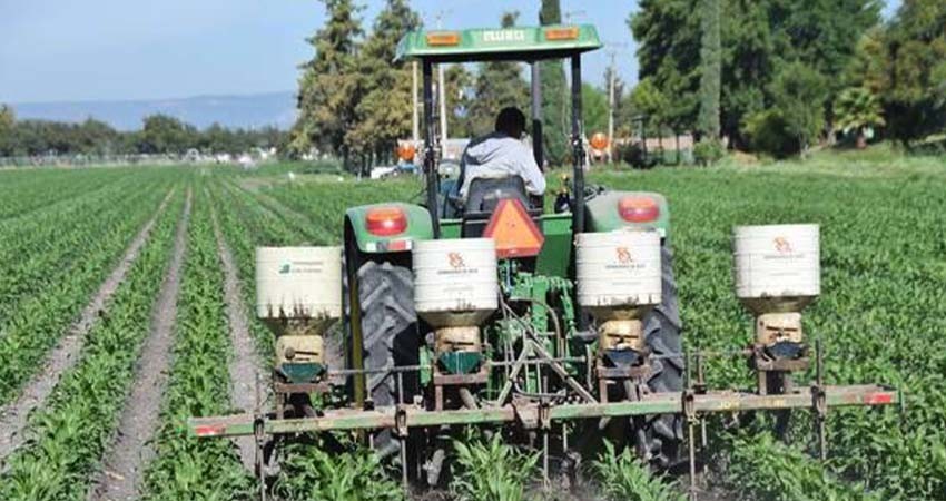 CCE destaca que la agroindustria genera hasta el 6% del PIB de México