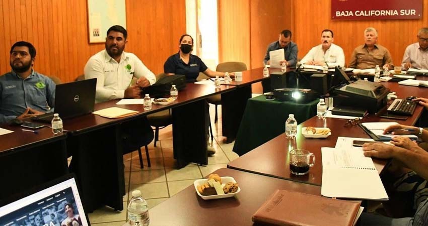 Gobierno del estado ha destinado 35MDP en campaña contra la mosca de la fruta.