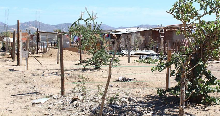 Se aplicará la ley sin excepción alguna a quien incentive las invasiones: González Núñez