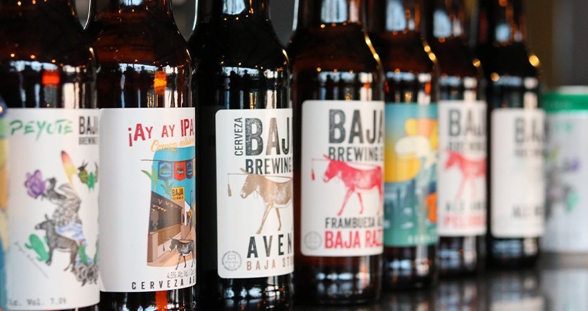 Reforman la Ley de Alcoholes para promover cerveza artesanal en BCS