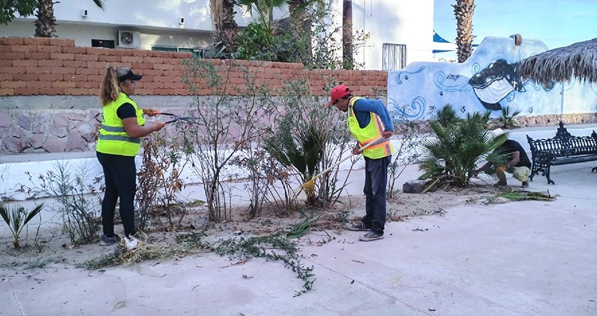 Realiza Servicios Públicos Municipales trabajos de mantenimiento a más de 20 parques y jardines