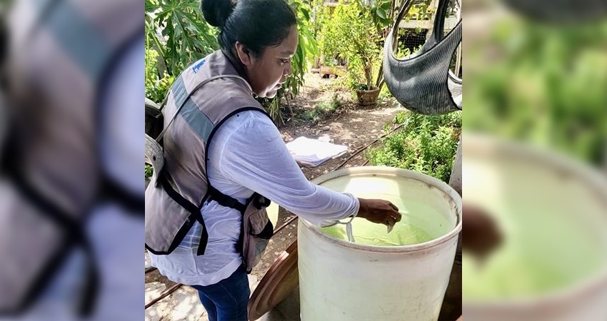 Salud estatal inició operativo para fortalecer la prevención de dengue en Loreto