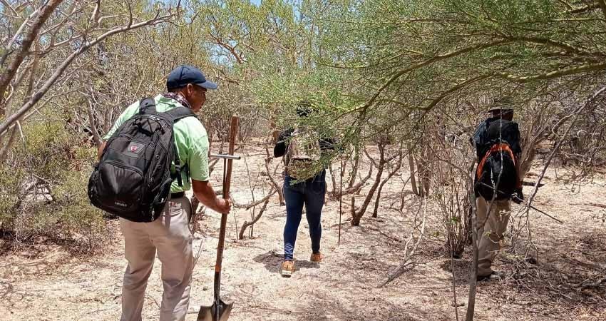 Mayoría de personas con reporte de desaparecidas han sido localizadas con vida : CEBPBCS