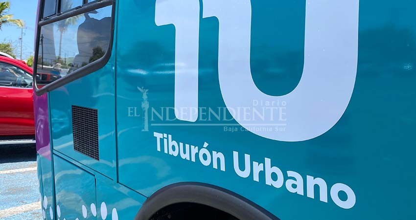 Milena Quiroga: El Tiburón Urbano se transformará en un sistema de transporte rural