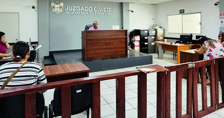 Mujer es multada debido a las agresiones cometidas por su mascota a otra persona