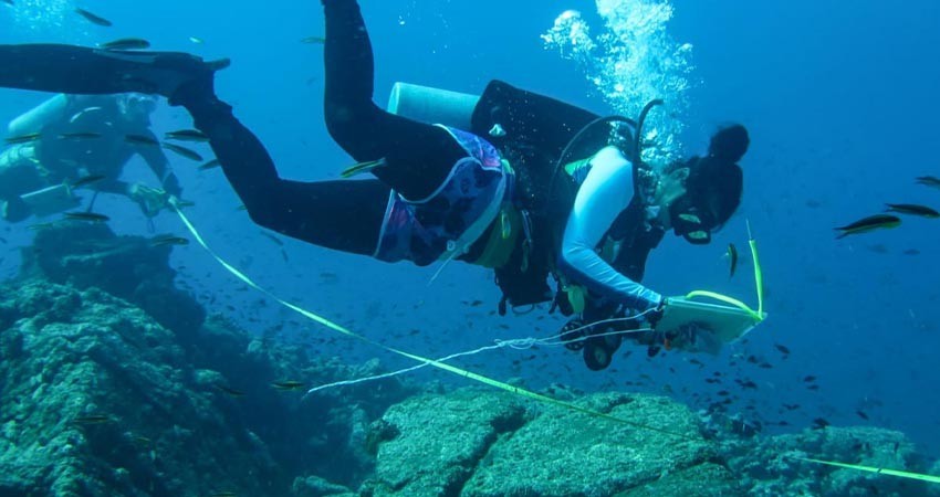 UABCS abre proceso de admisión para su Licenciatura en Biología Marina