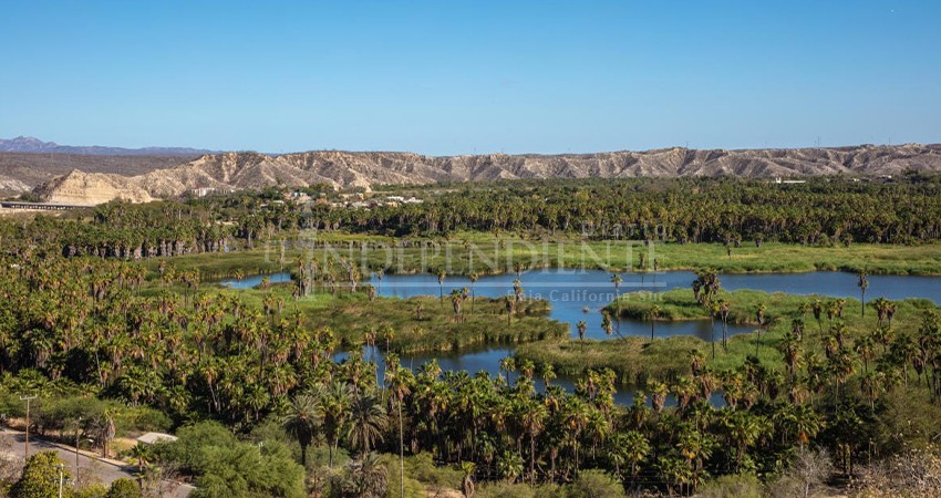 Proponen la construcción de un “Parque Público” de 1000 mdp que rodee al Estero Josefino