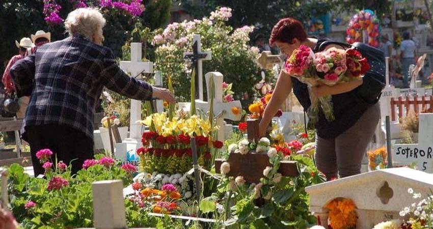 Piden usar flores artificiales en panteones para prevenir dengue en Día de Muertos