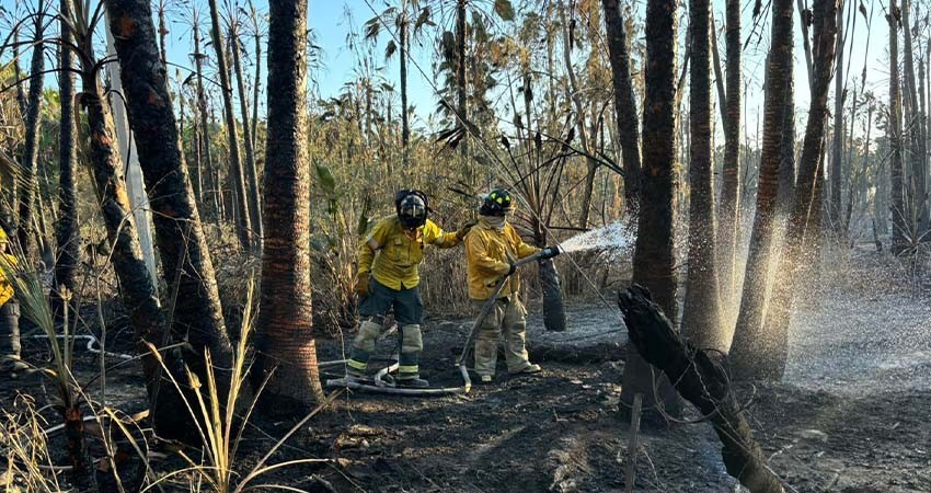 Incendios de Todos Santos fueron sofocados en su totalidad
