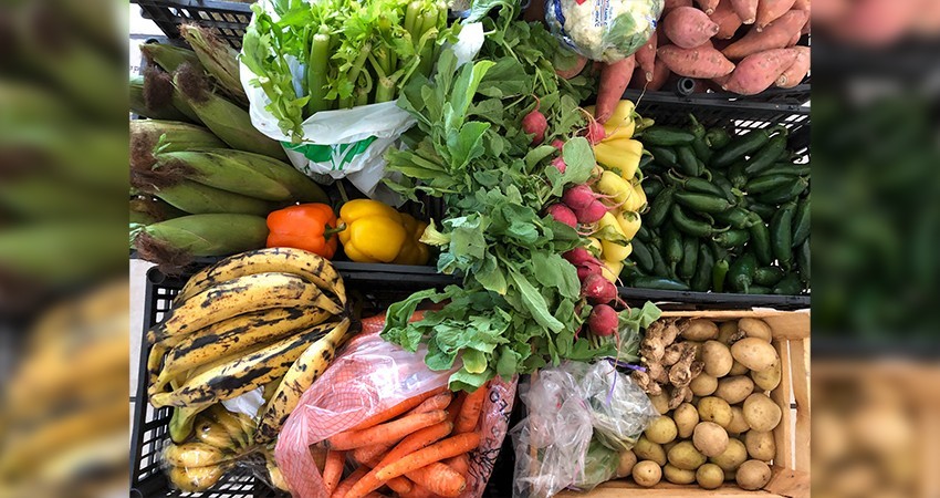 Recomiendan a la población una alimentación saludable para prevenir enfermedades digestivas