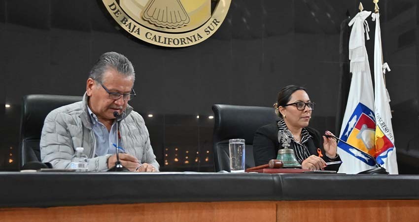 Analiza Congreso las reformas constitucionales de protección y cuidado animal y de seguridad pública
