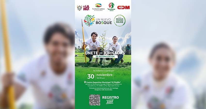 Invita la alcaldesa de La Paz a la jornada de reforestación en “El Piojillo”
