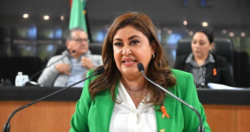 La Comisión de Asuntos Comerciales y Turísticos dio cuenta de los avances realizados en conjunto con el Gobierno del Estado